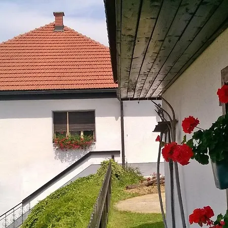 Pocitniska Hisa * Kog