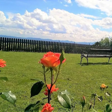 Pocitniska Hisa * Kog