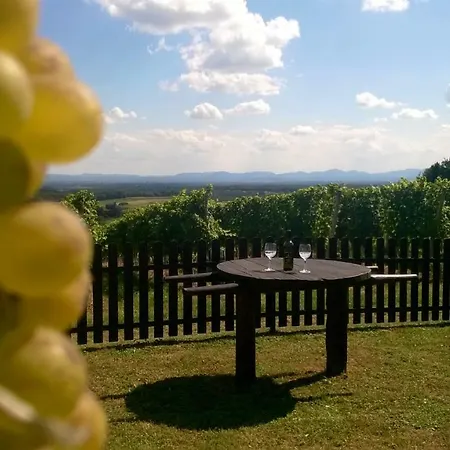 Дом отдыха Pocitniska Hisa Kog