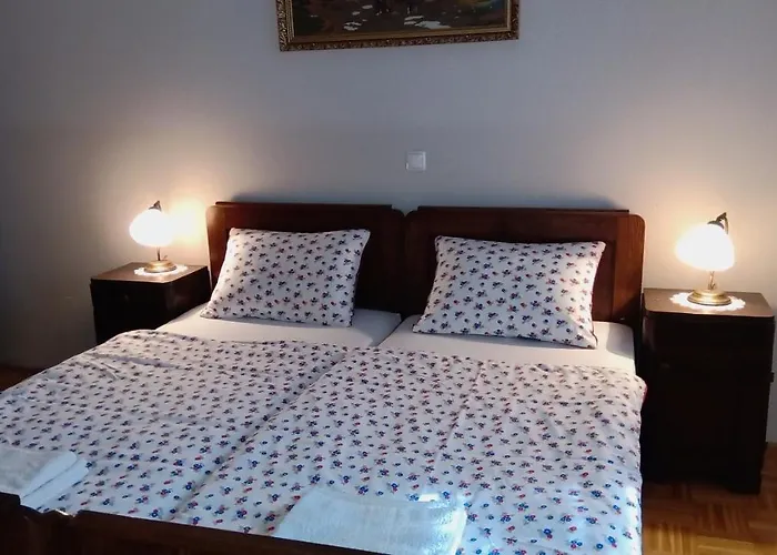 펜션 Pocitniska Hisa *