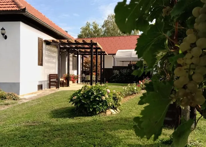 펜션 Pocitniska Hisa