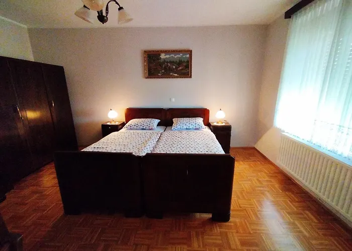 펜션 Pocitniska Hisa