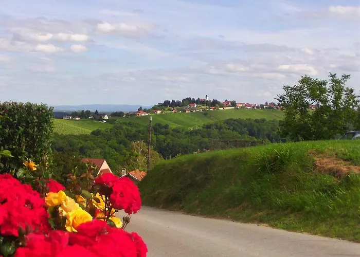 Pocitniska Hisa 펜션