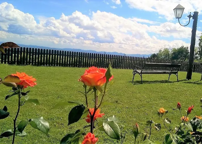 Pocitniska Hisa * Kog