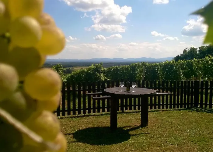 펜션 Pocitniska Hisa Kog